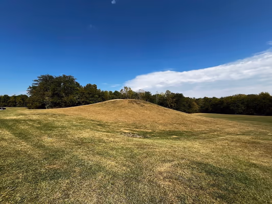 Paul Ruster Dog Park